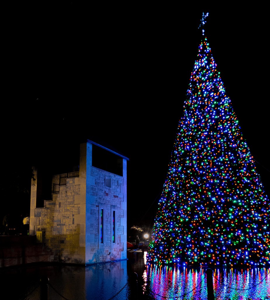 Happy Holidays from Castle Hills